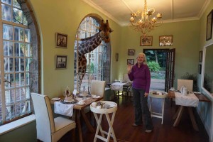 Giraffe at Giraffe Manor with Lori Robinson