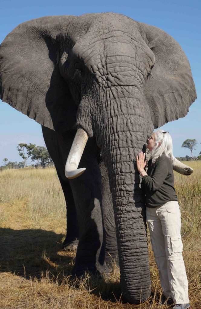 Lori Robinson at Living With Elephants Foundation in Botswana
