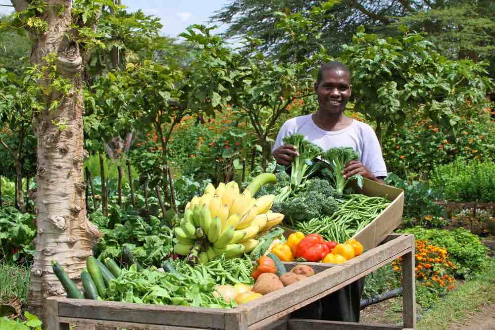 Permaculture helps save wild life in Kenya