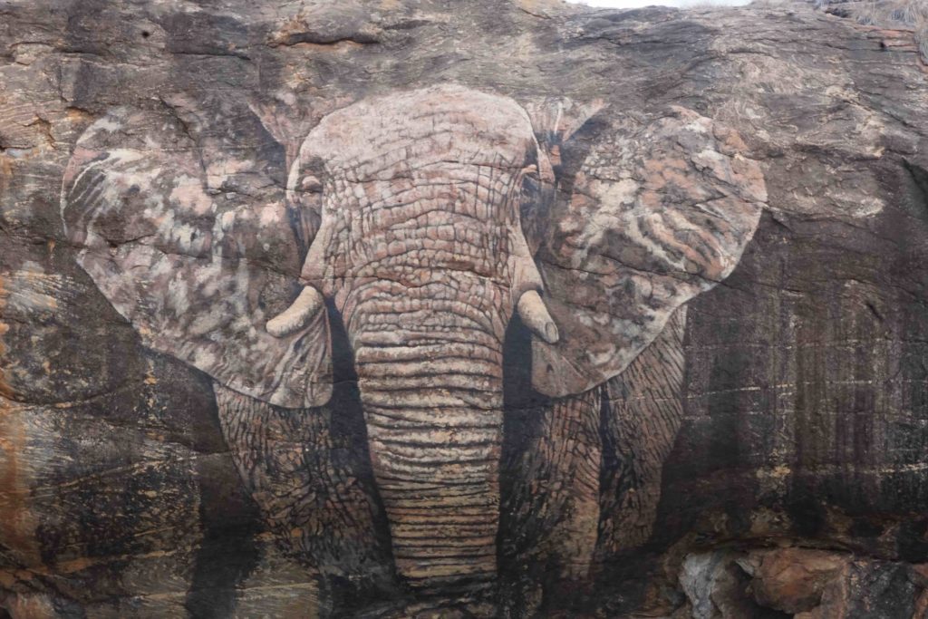 Your Cansell paints elephant rock in Northern Rangelands trust