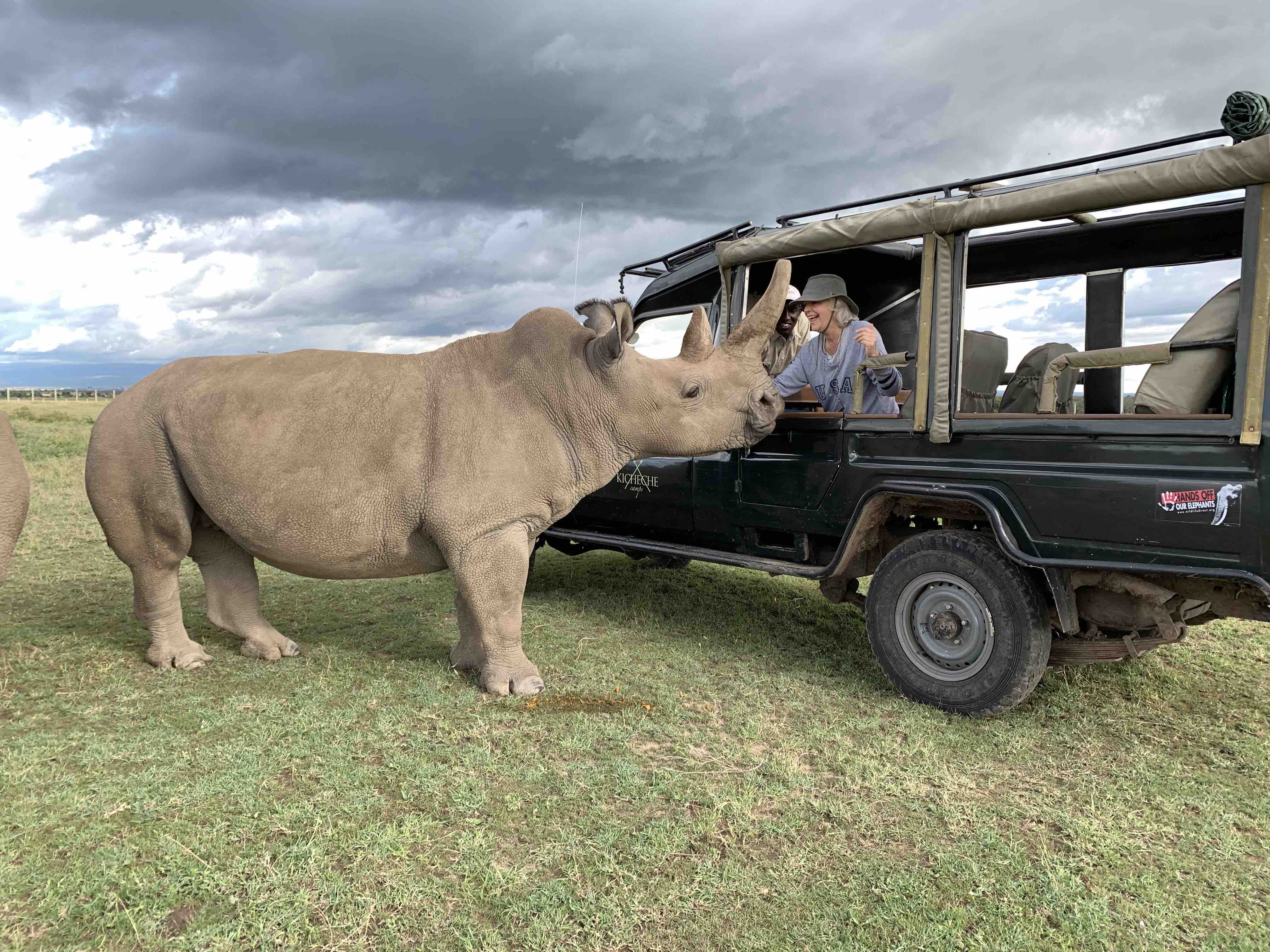 Ol Pejeta Northern White Rhino sharing a moment with Lori Robinson