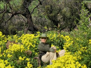 Native Gardening Ideas are found in your Local Hiking Trails
