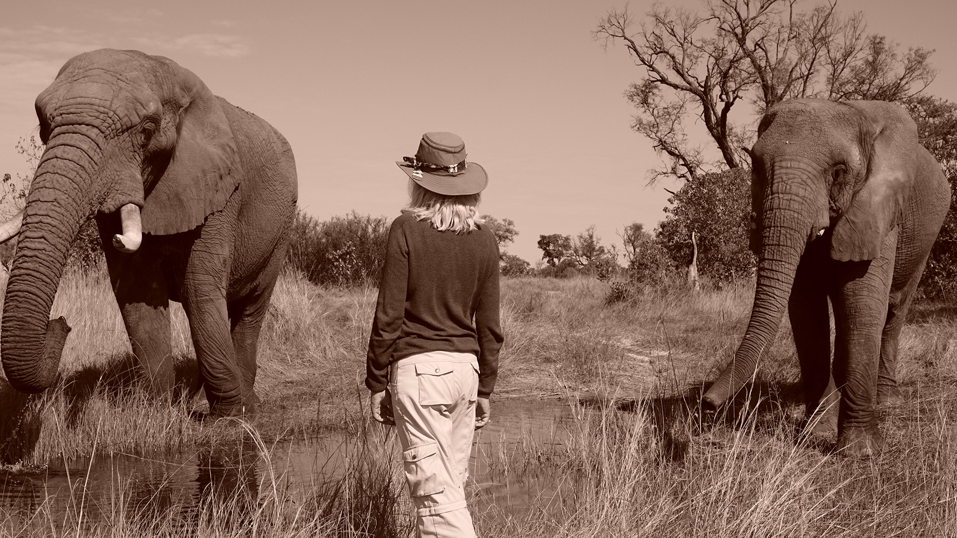 Saving Wild | Lori Robinson & Two Elephants | Take Your Connection to Animals to the Next Level