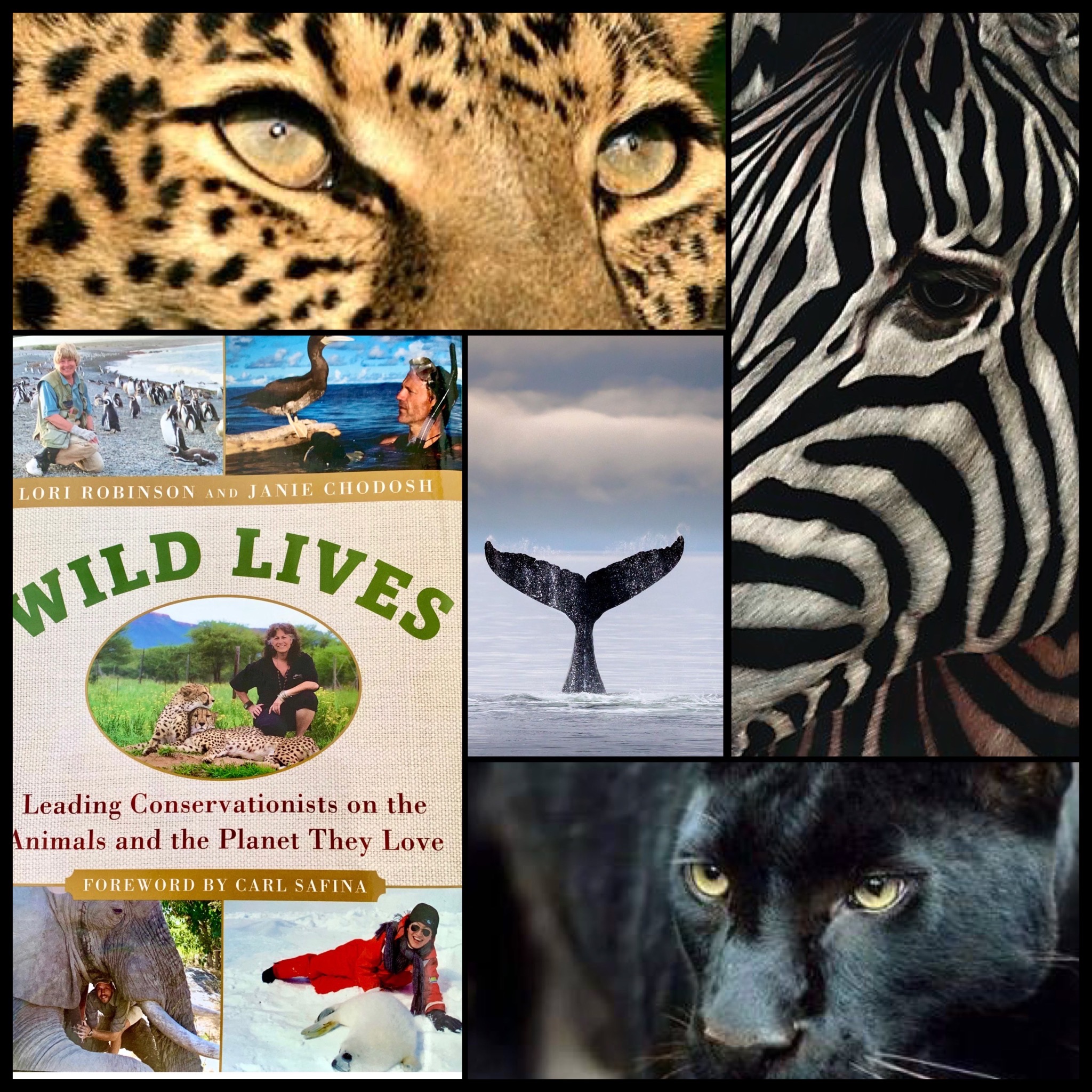 Wild Lives Book by Lori Robinson