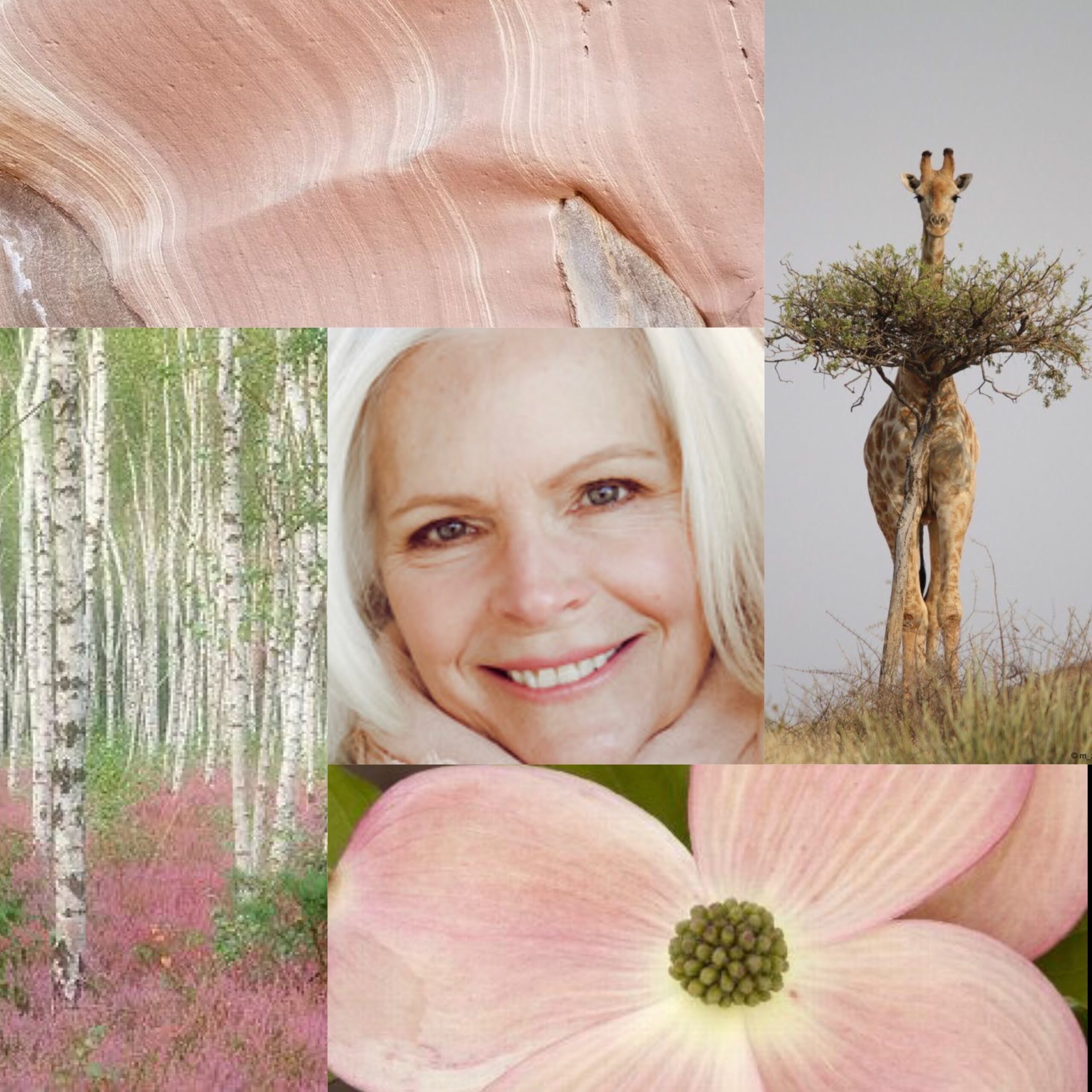 Connect with Nature using a simple ritual